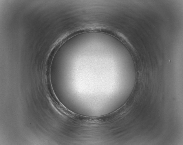 X0000081600443200701151058