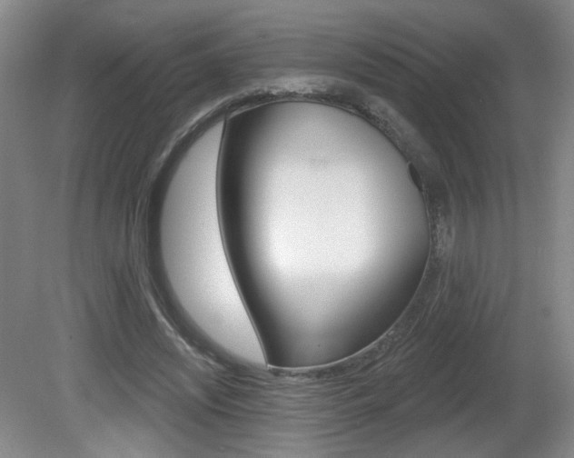 X0000081600444200701151058