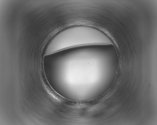 X0000081600445200701151058