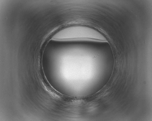 X0000081600446200701151058