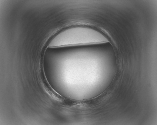 X0000081600447200701151058
