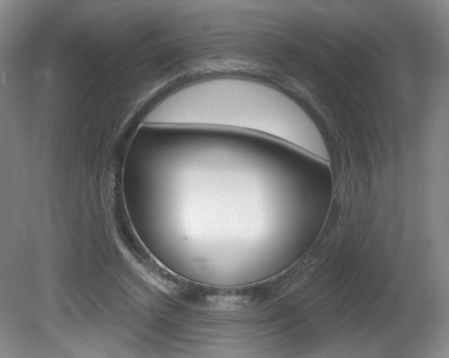 X0000081600448200701151058