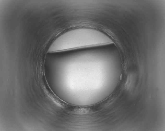 X0000081600449200701151058