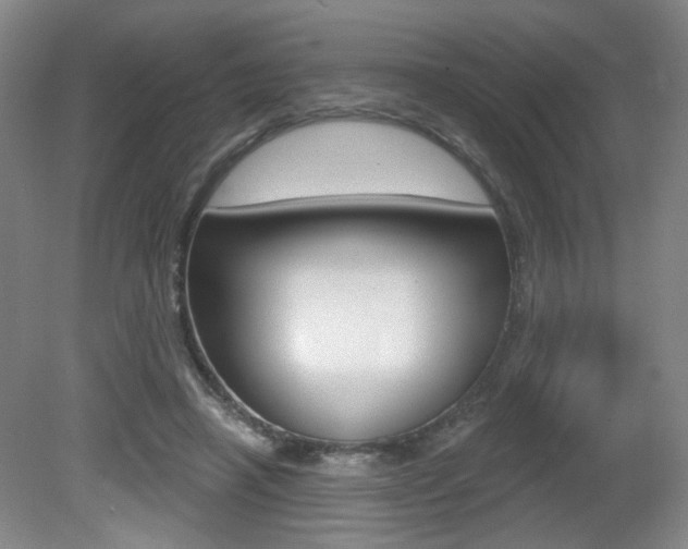 X0000081600450200701151058
