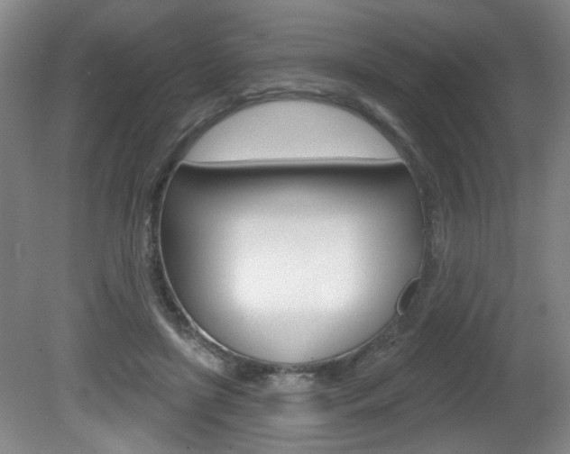 X0000081600451200701151058