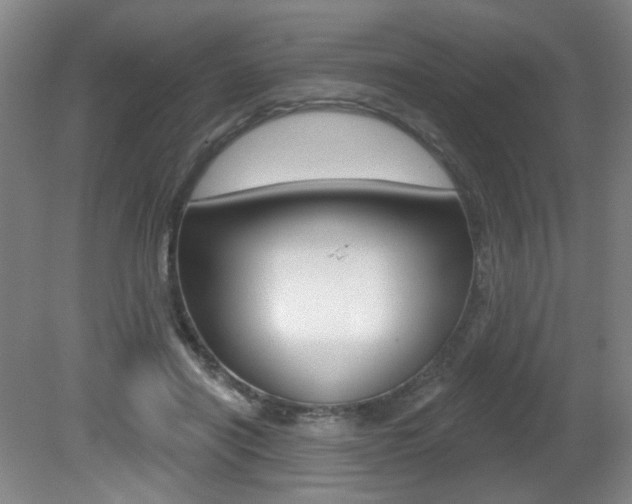 X0000081600454200701151058