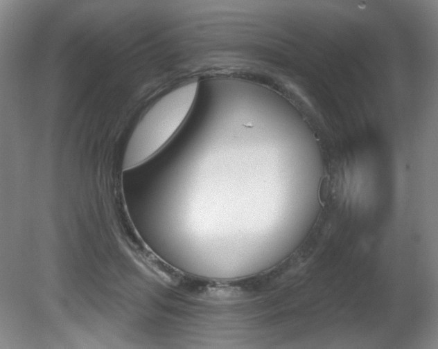 X0000081600455200701151058