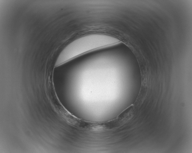 X0000081600456200701151058