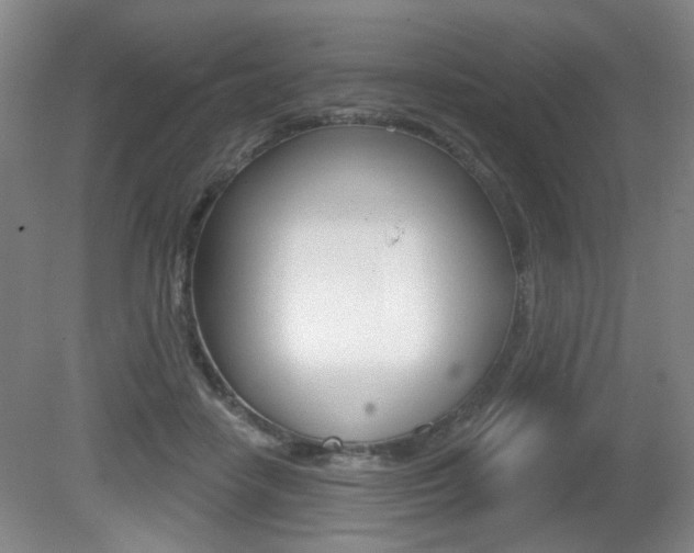 X0000081600458200701151058