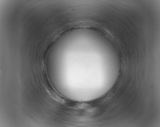 X0000081600459200701151058