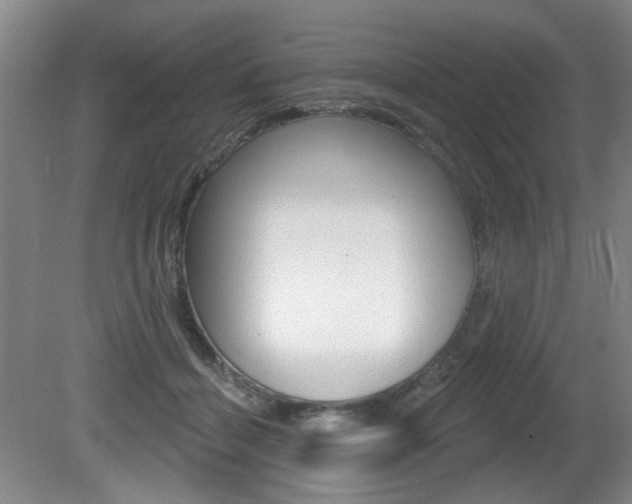 X0000081600460200701151058