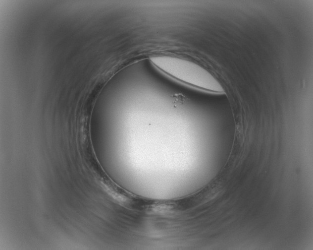 X0000081600462200701151058
