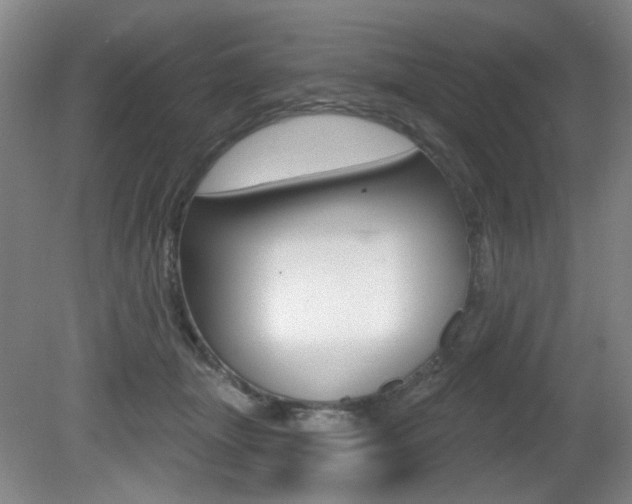 X0000081600463200701151058