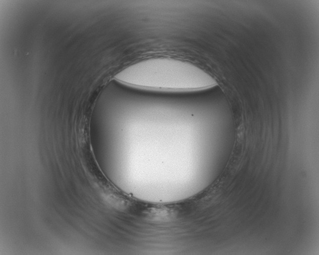 X0000081600464200701151058