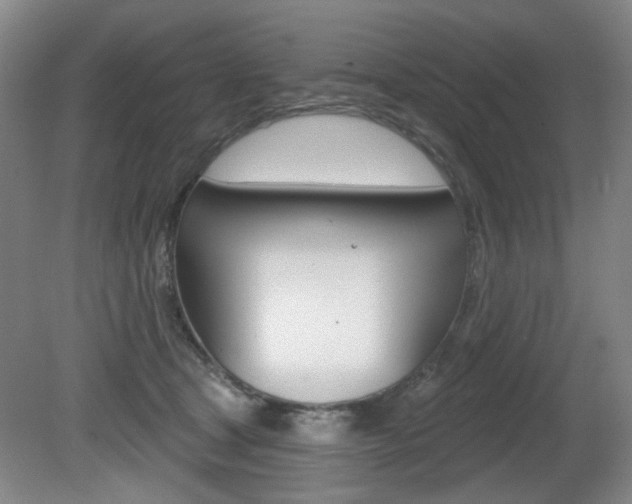X0000081600465200701151058