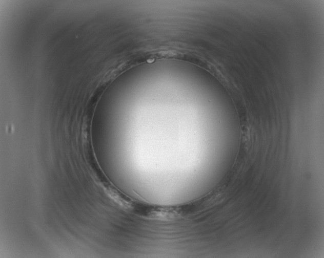X0000081600466200701151058