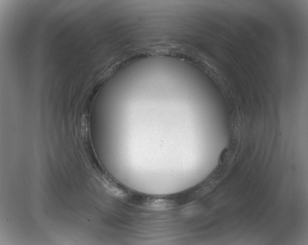 X0000081600467200701151058