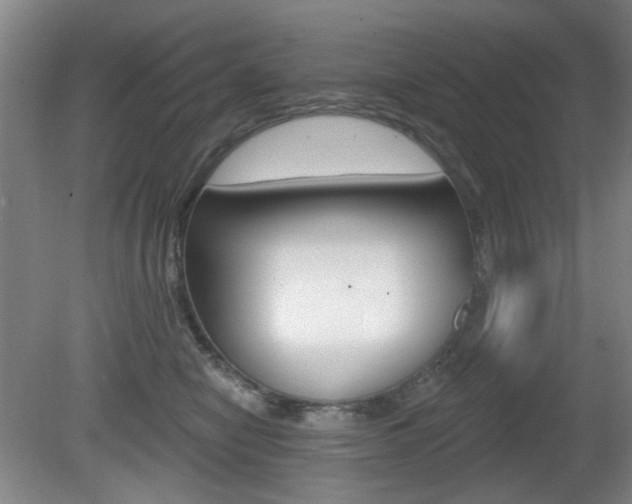 X0000081600470200701151058