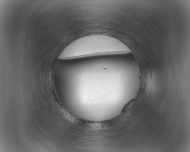X0000081600473200701151058