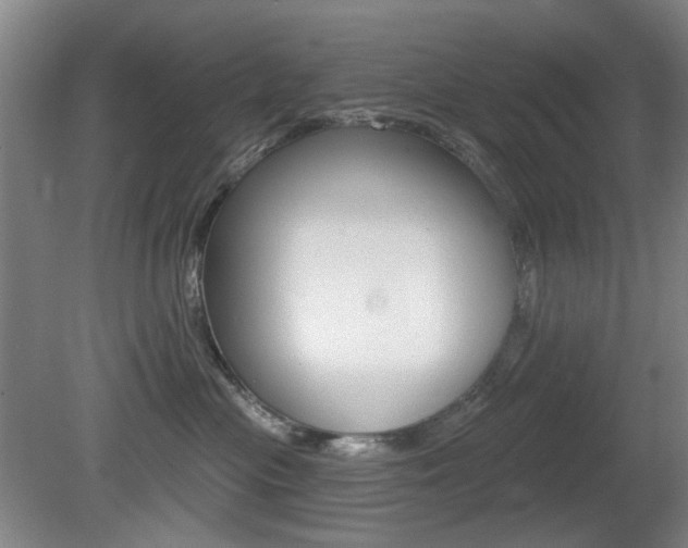 X0000081600477200701151058