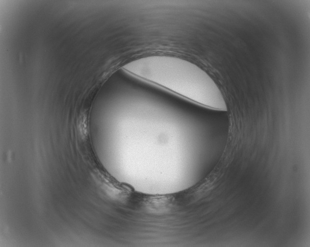 X0000081600479200701151058