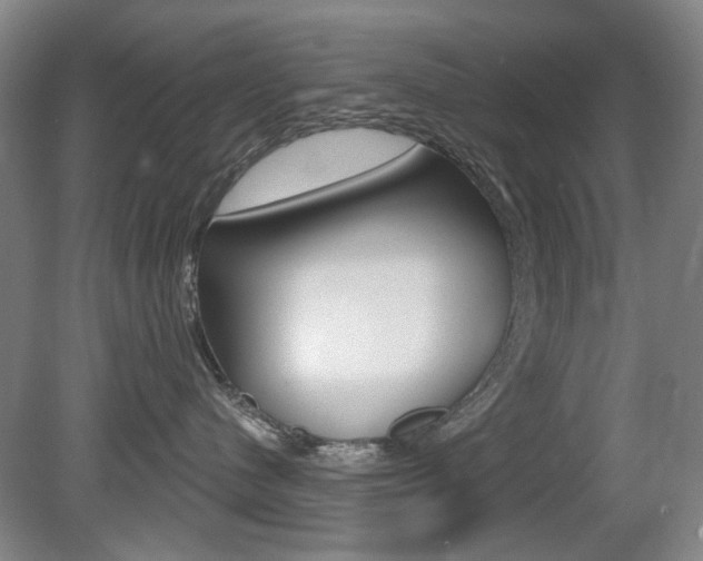 X0000081600480200701151058