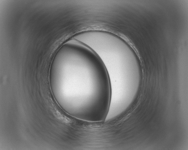 X0000081600481200701151058