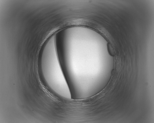 X0000081600482200701151058