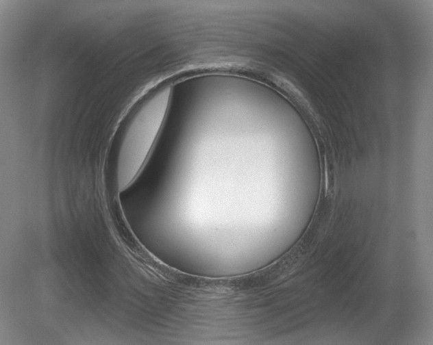 X0000081600483200701151058