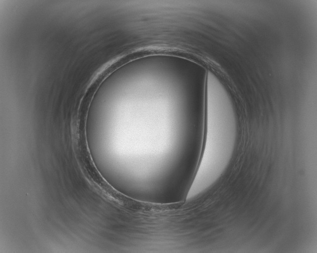 X0000081600484200701151058
