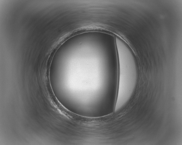X0000081600485200701151058