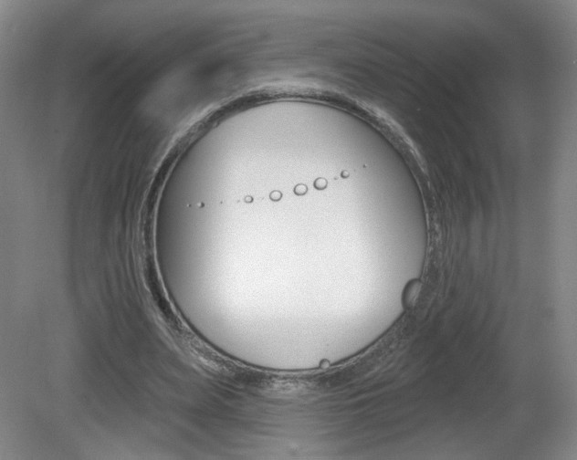X0000081600487200701151058