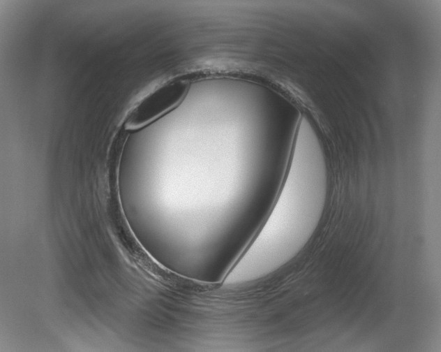X0000081600488200701151058