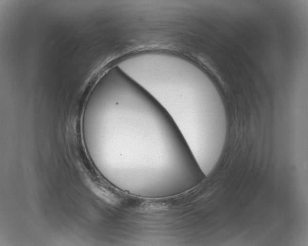 X0000081600491200701151057