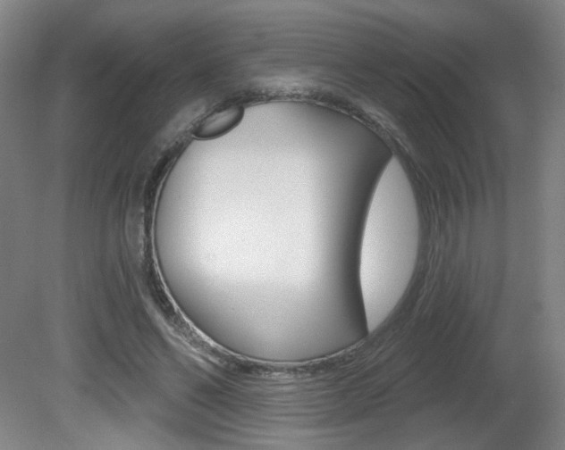 X0000081600494200701151057