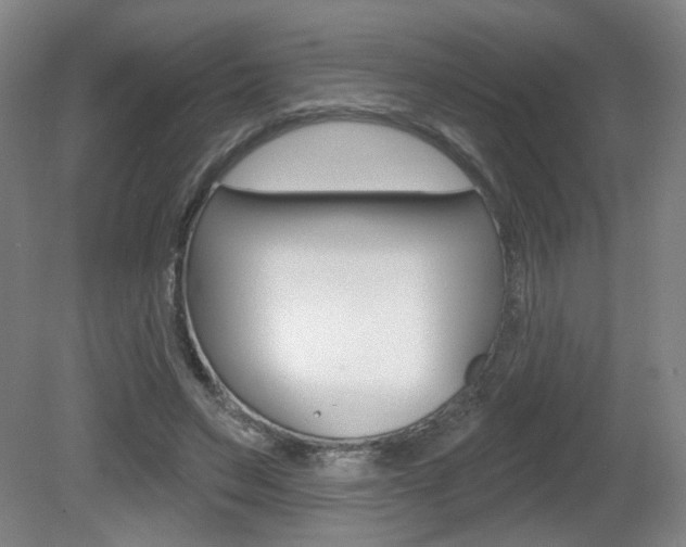 X0000081600495200701151057