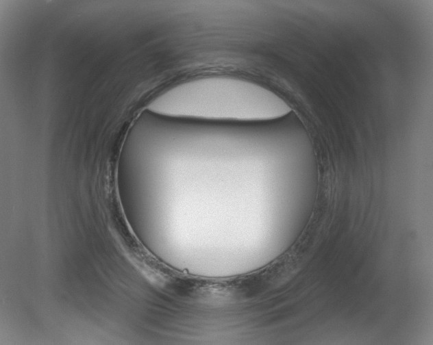 X0000081600498200701151057
