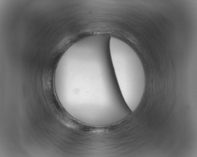 X0000081600499200701151057