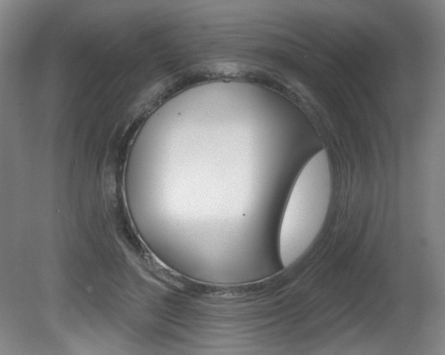 X0000081600500200701151057