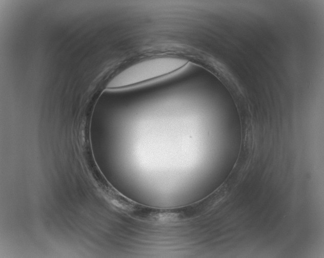 X0000081600501200701151057