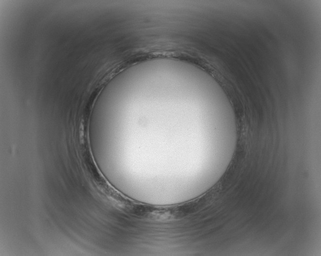 X0000081600502200701151057
