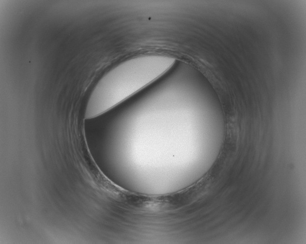 X0000081600504200701151057