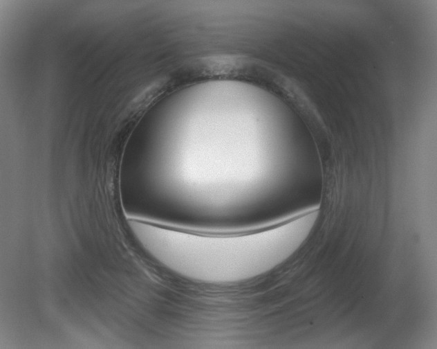 X0000081600505200701151057