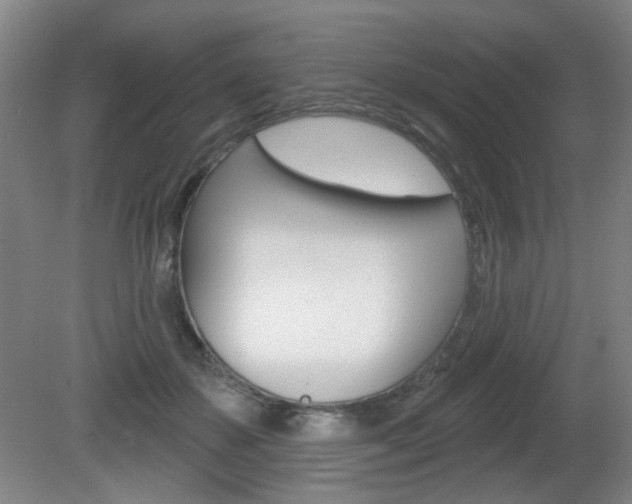 X0000081600507200701151057