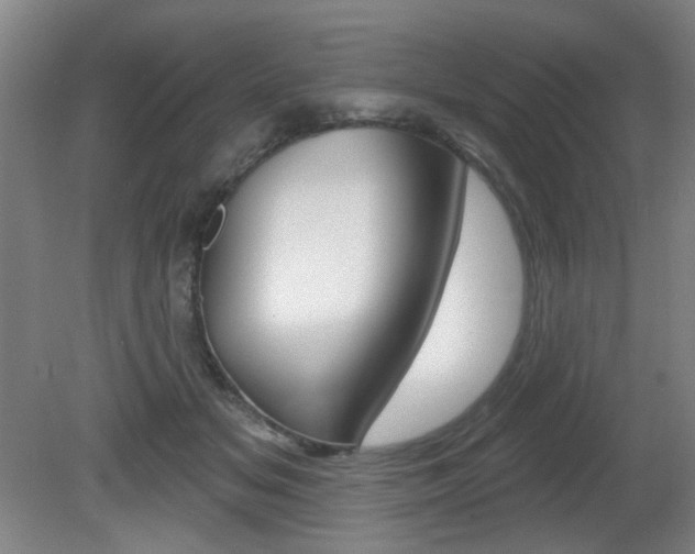 X0000081600509200701151057