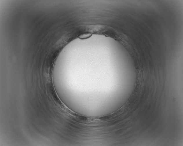 X0000081600510200701151057