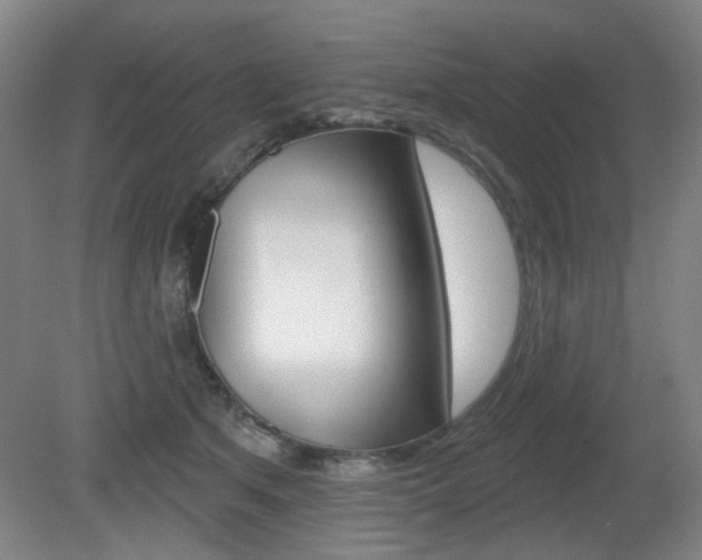 X0000081600513200701151057