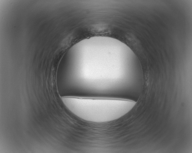 X0000081600515200701151057