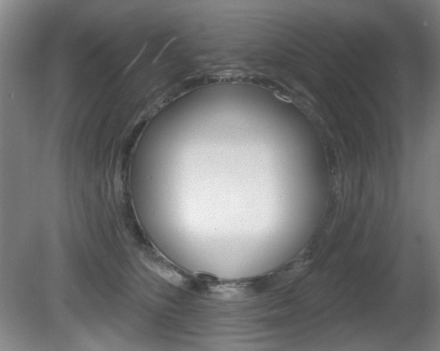 X0000081600516200701151057
