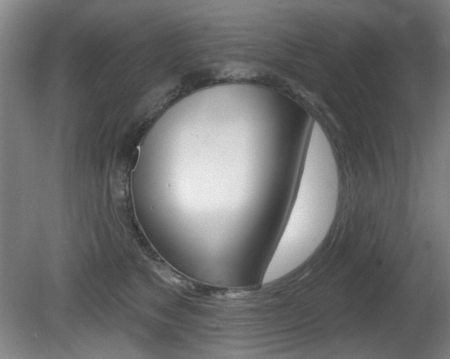 X0000081600517200701151057